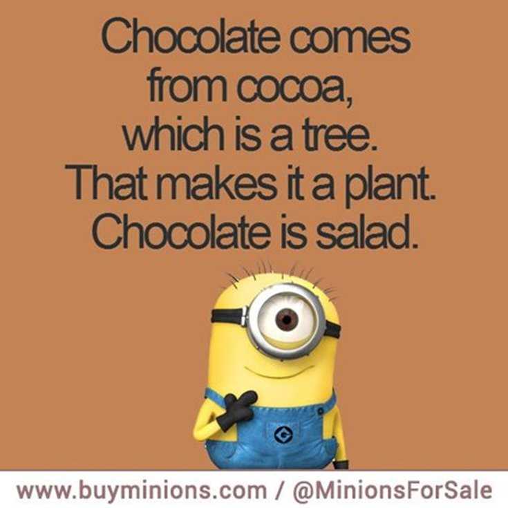 Minions Quotes Top 370 Funny Quotes With Pictures Sayings 28