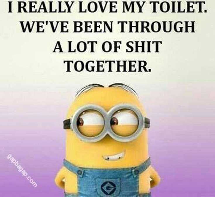 Minions Quotes Top 370 Funny Quotes With Pictures Sayings 32