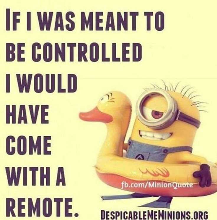 Minions Quotes Top 370 Funny Quotes With Pictures Sayings 43