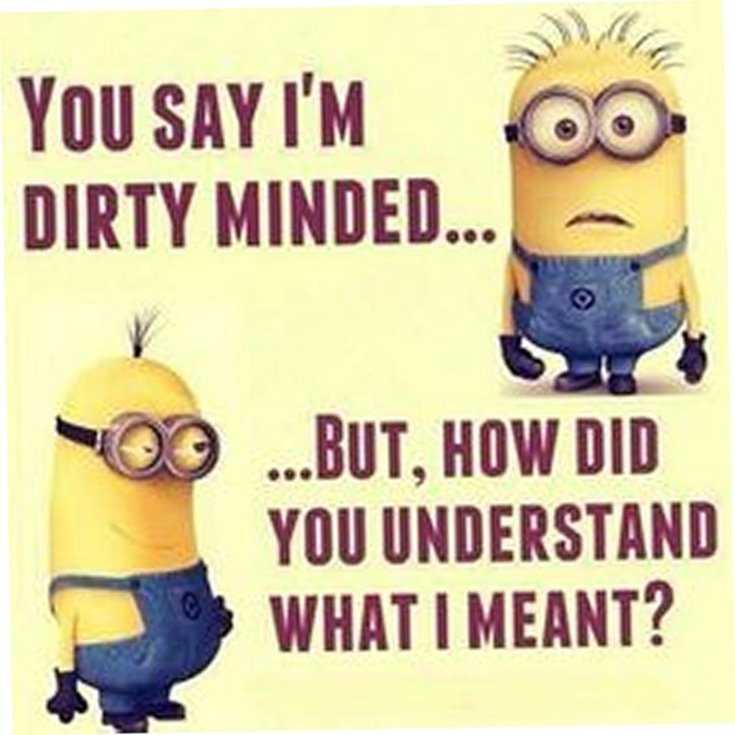 Minions Quotes Top 370 Funny Quotes With Pictures Sayings 73