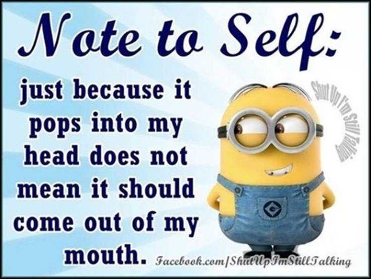 Minions Quotes Top 370 Funny Quotes With Pictures Sayings 78