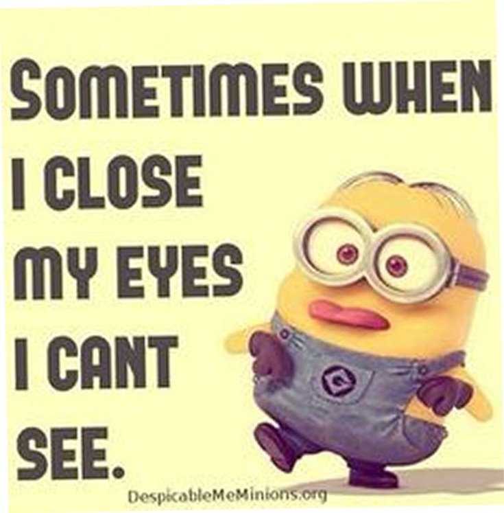 Minions Quotes Top 370 Funny Quotes With Pictures Sayings 86