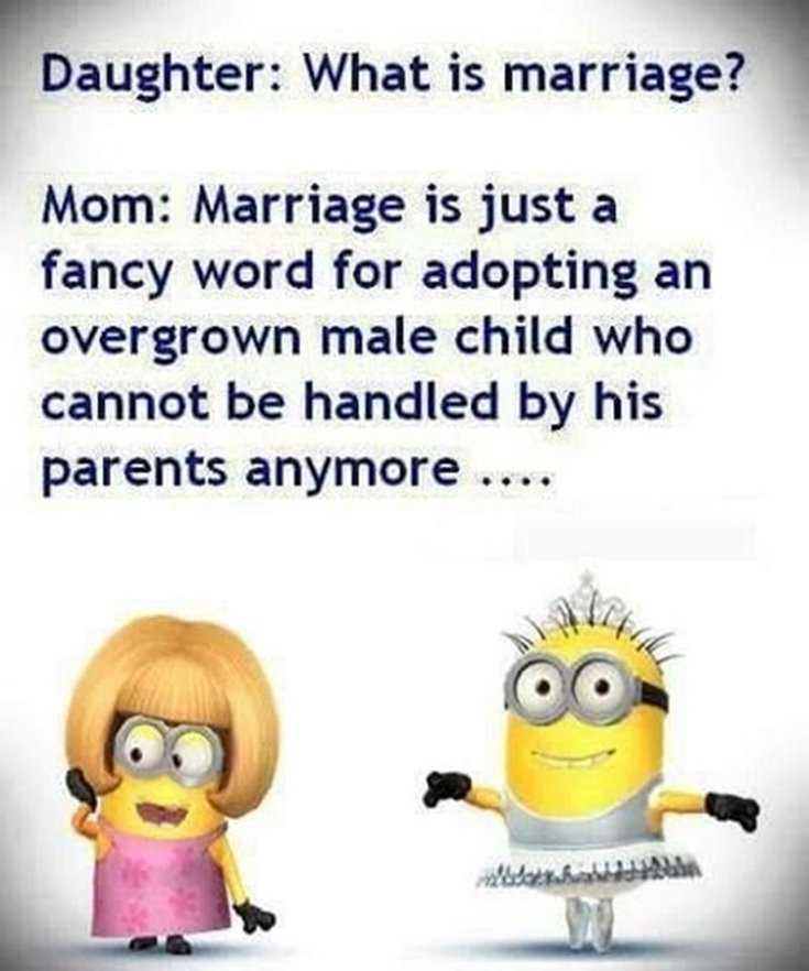 Quotes about Minions Top 370 Funny Quotes With Pictures Sayings 12