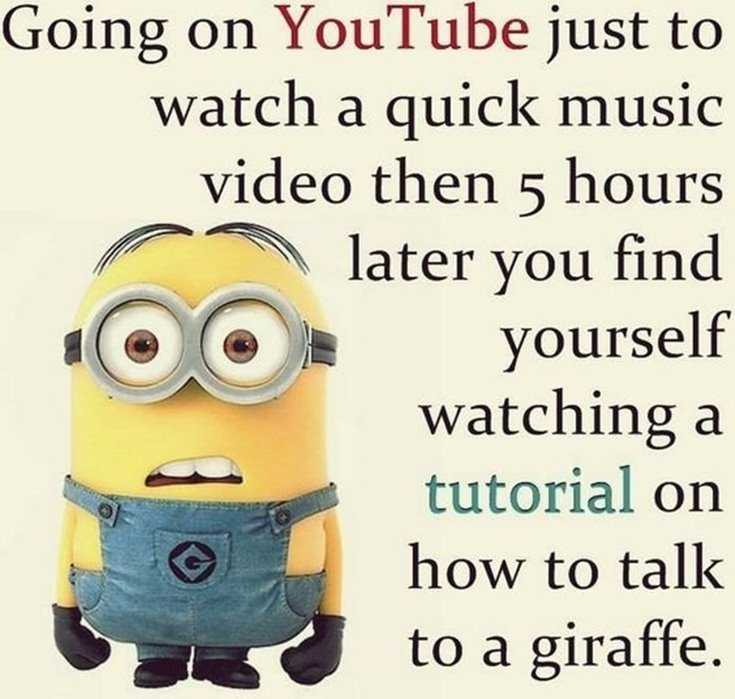 Quotes about Minions Top 370 Funny Quotes With Pictures Sayings 17