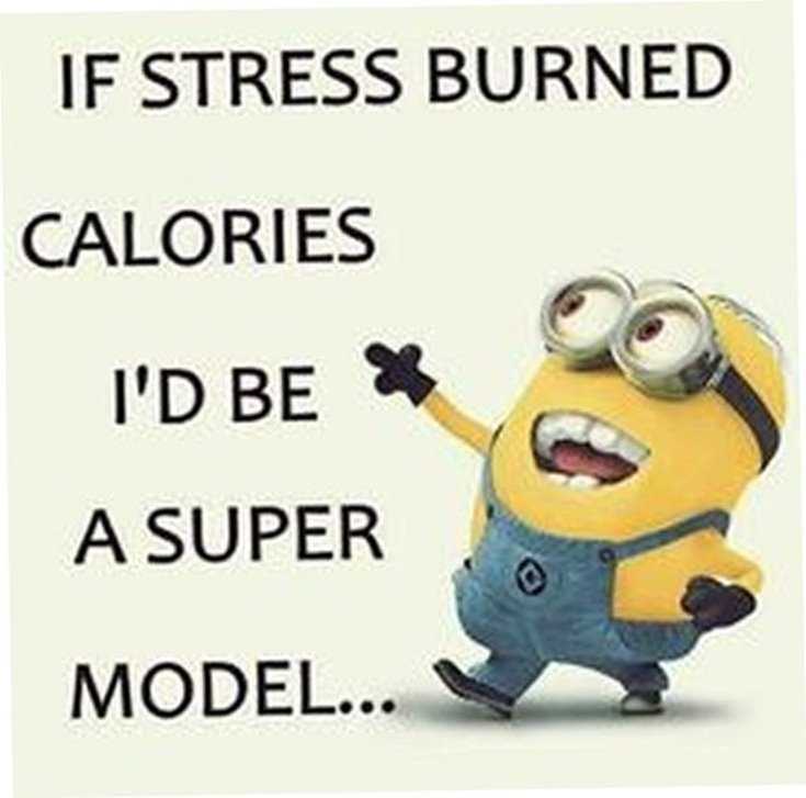 Quotes about Minions Top 370 Funny Quotes With Pictures Sayings 41
