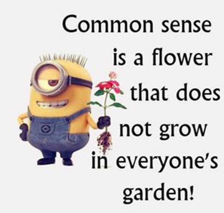 Quotes about Minions Top 370 Funny Quotes With Pictures Sayings 52