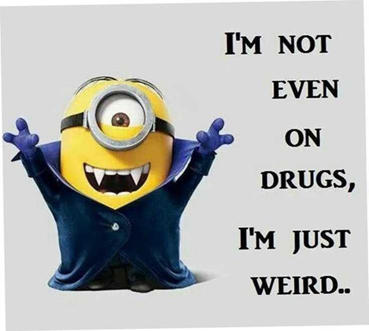 Quotes about Minions Top 370 Funny Quotes With Pictures Sayings 9
