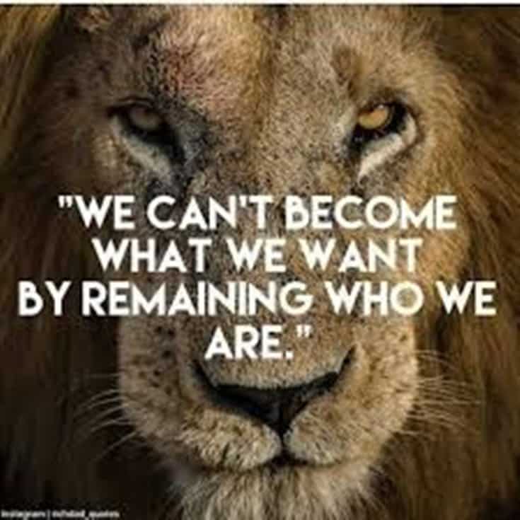 577 Motivational Inspirational Quotes About Life 227 577 Motivational Inspirational Quotes About Life 227