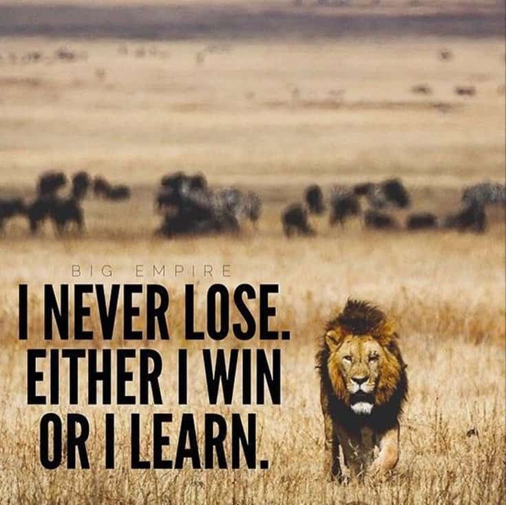 577 Motivational Inspirational Quotes About Life 228 577 Motivational Inspirational Quotes About Life 228