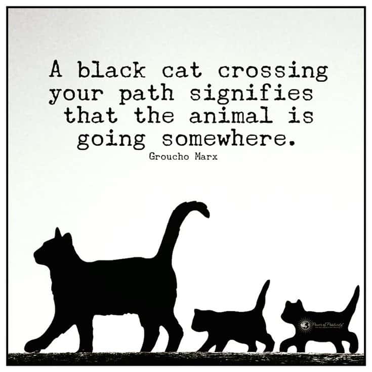 577 Motivational Inspirational Quotes About Life 55 577 Motivational Inspirational Quotes About Life 55