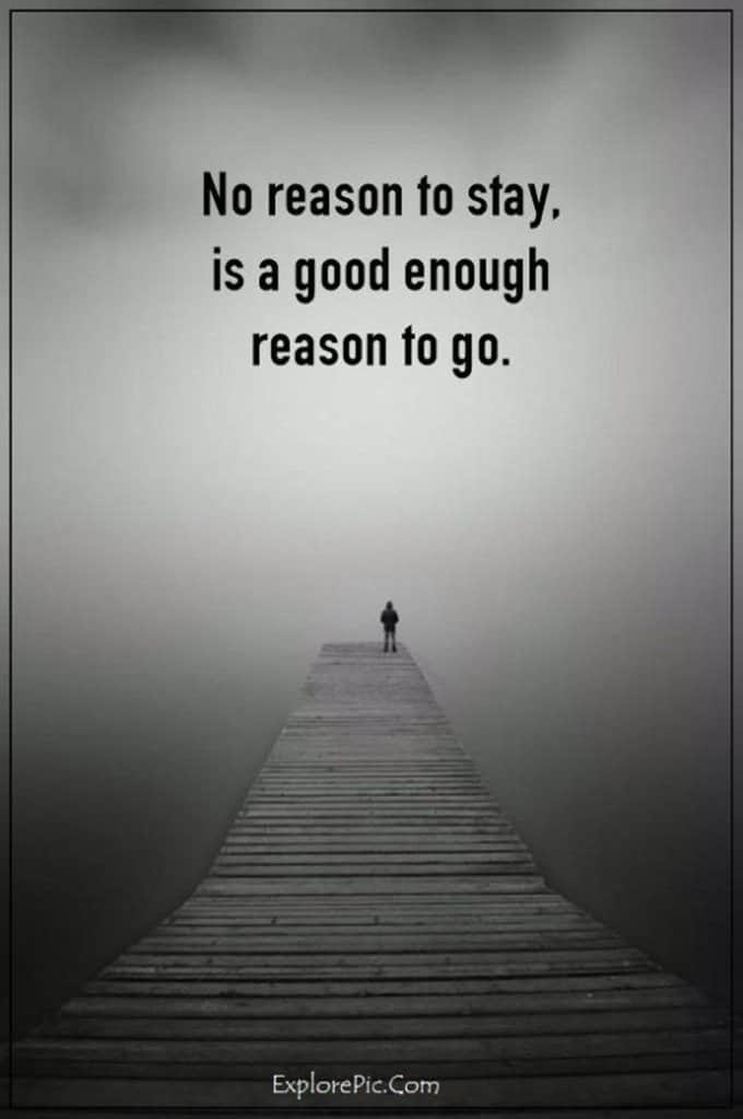 Top 60 Funny Memes And Hilarious Sayings 40