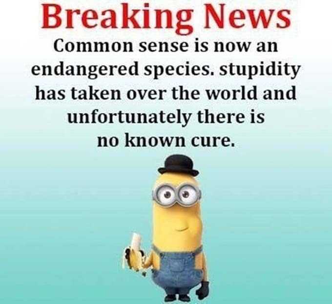 Top 60 Funny Memes And Hilarious Sayings 45