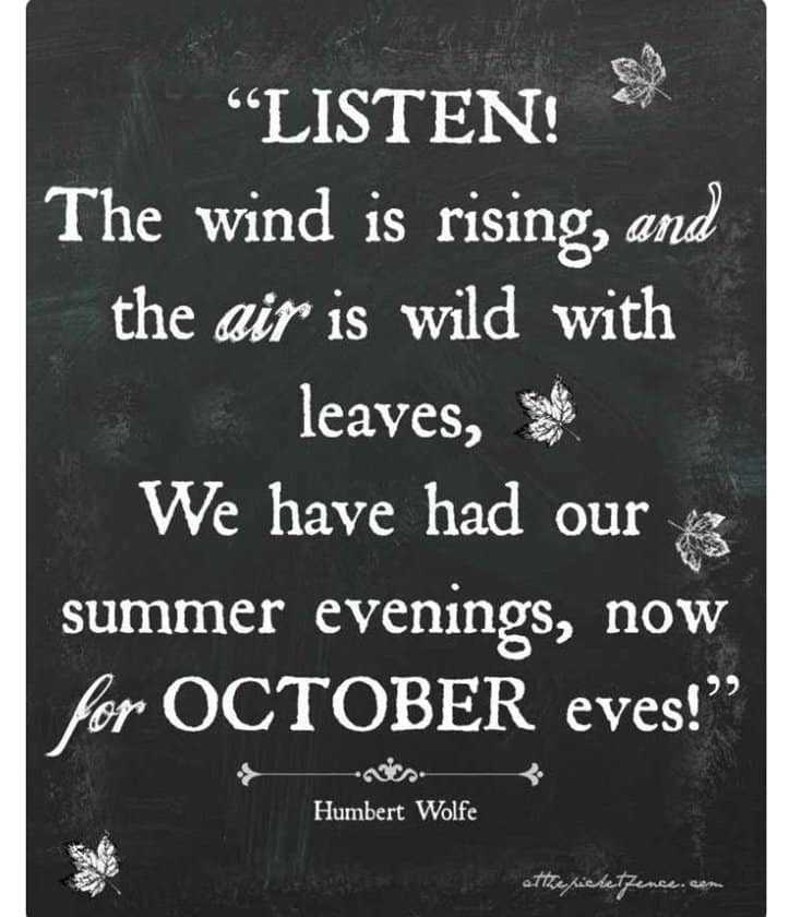 15 Funny Halloween Memes Printables for You 9