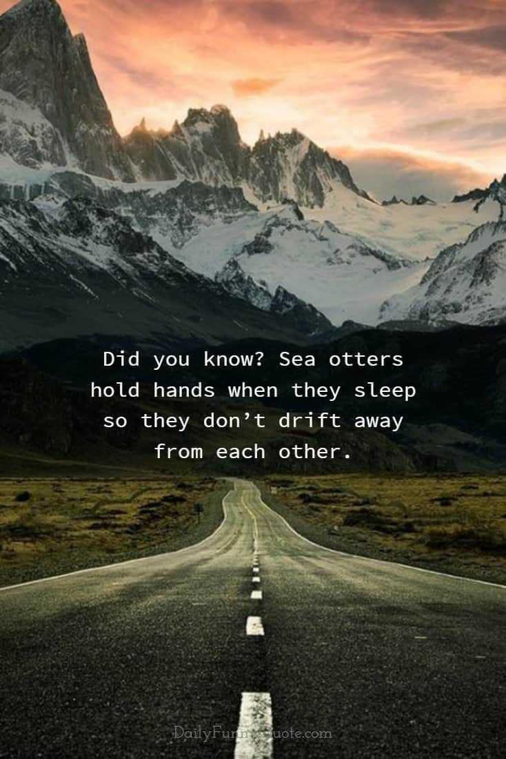 70 Great Motivational Inspirational Quotes With Images To Inspire 56 70 Great Motivational Inspirational Quotes With Images To Inspire 56