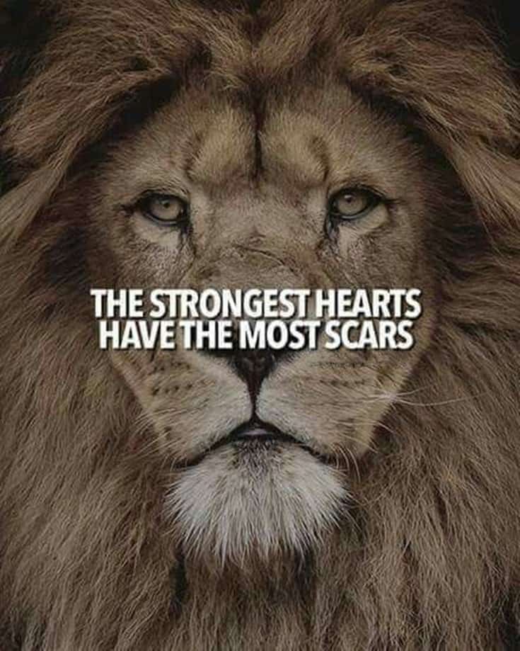 247 Motivational Inspirational Quotes 161 247 Motivational Inspirational Quotes 161