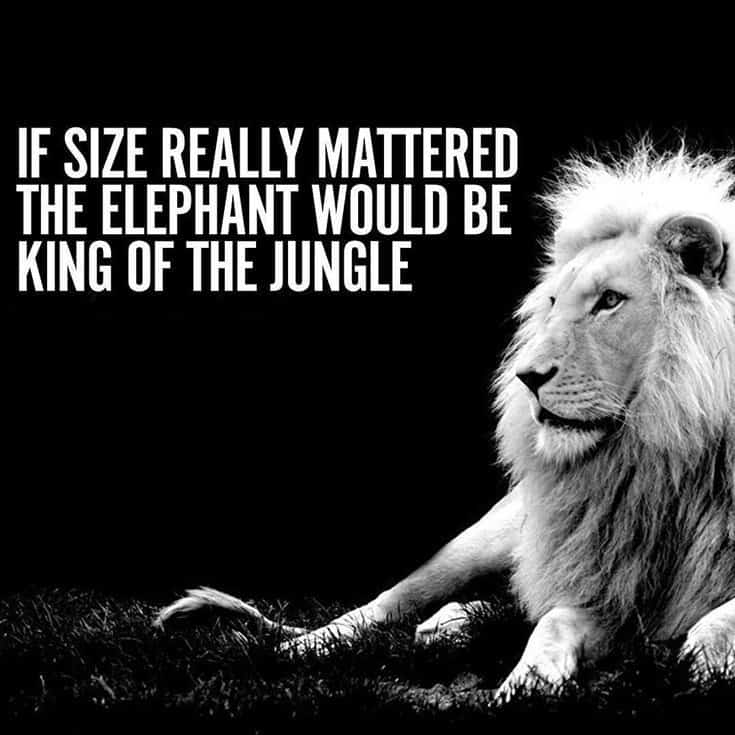 247 Motivational Inspirational Quotes 162 247 Motivational Inspirational Quotes 162