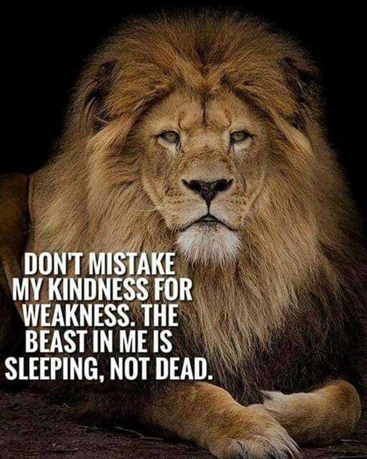 247 Motivational Inspirational Quotes 183 247 Motivational Inspirational Quotes 183