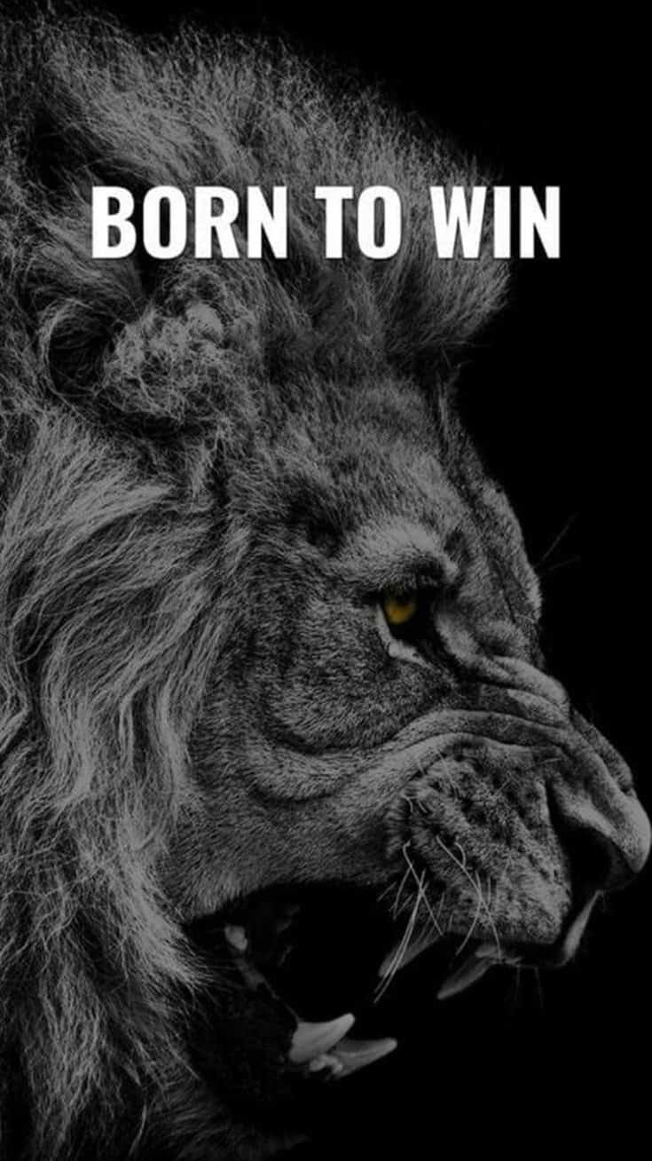 247 Motivational Inspirational Quotes 184 247 Motivational Inspirational Quotes 184