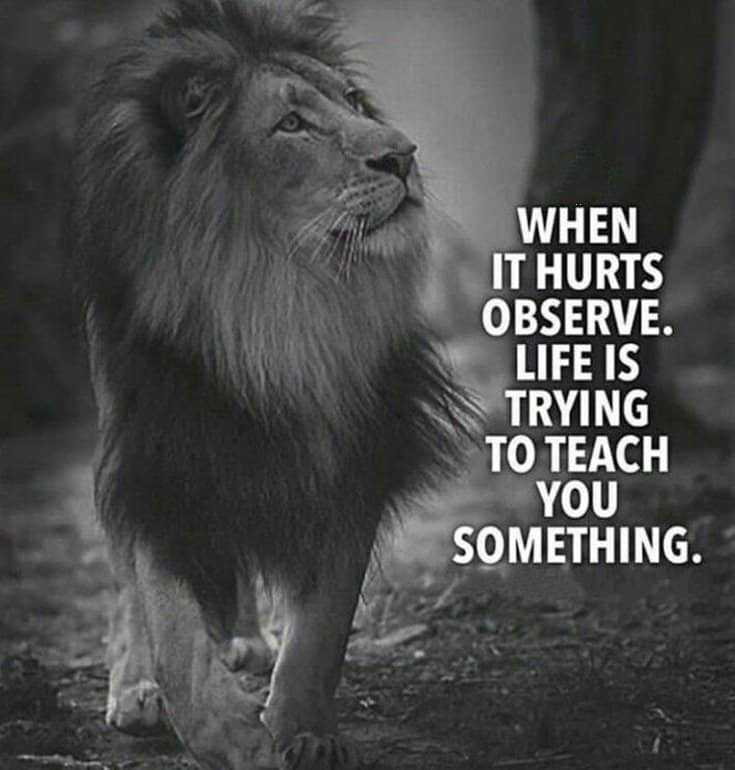 247 Motivational Inspirational Quotes 185 247 Motivational Inspirational Quotes 185