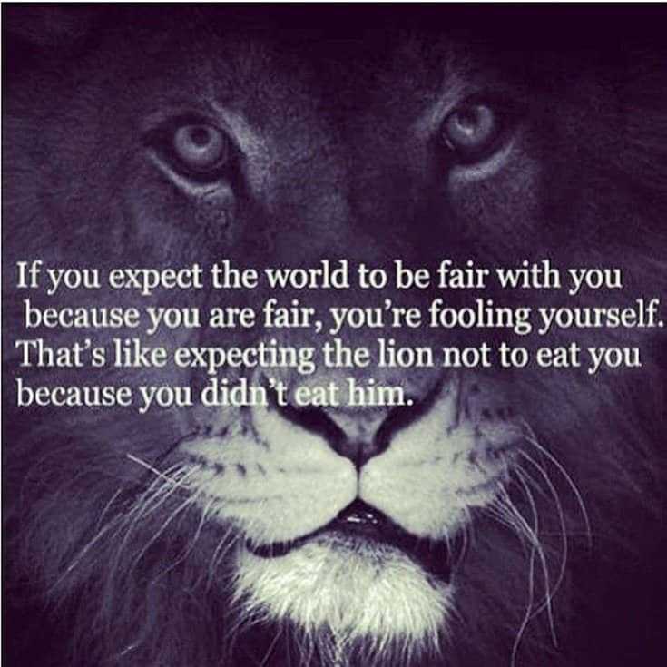 247 Motivational Inspirational Quotes 186 247 Motivational Inspirational Quotes 186