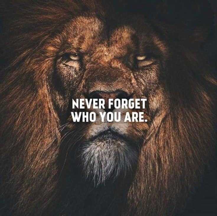 247 Motivational Inspirational Quotes 190 247 Motivational Inspirational Quotes 190