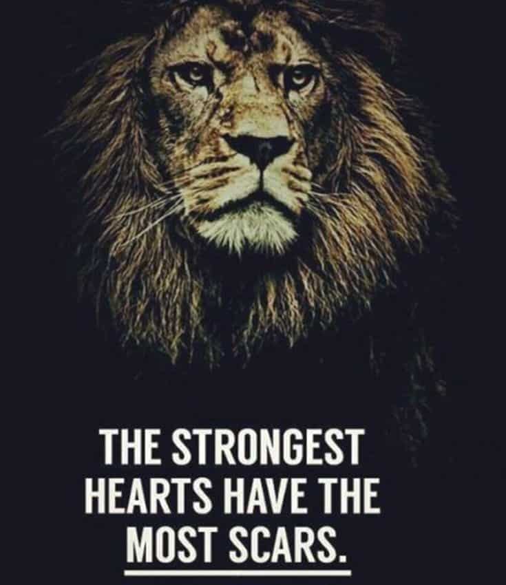 247 Motivational Inspirational Quotes 34 247 Motivational Inspirational Quotes 34