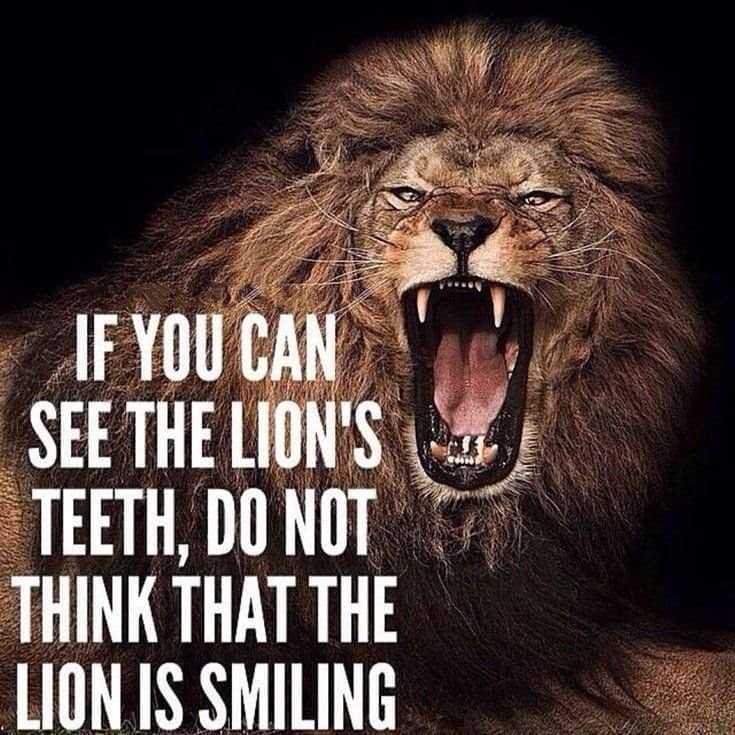 247 Motivational Inspirational Quotes 64 247 Motivational Inspirational Quotes 64