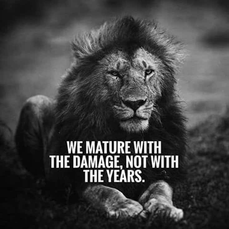 247 Motivational Inspirational Quotes 66 247 Motivational Inspirational Quotes 66