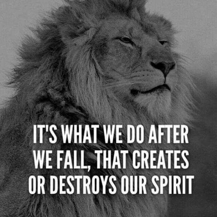 247 Motivational Inspirational Quotes 67 247 Motivational Inspirational Quotes 67