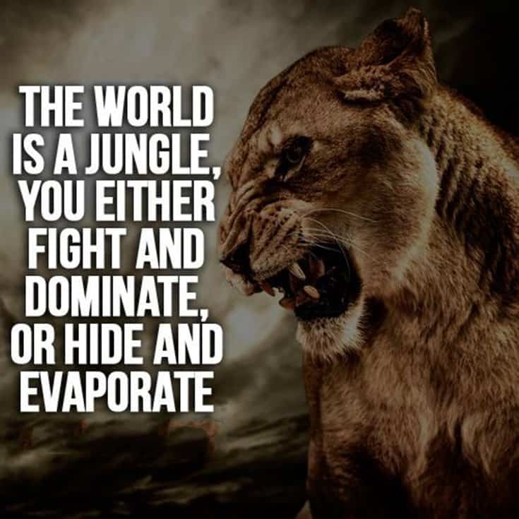 247 Motivational Inspirational Quotes 68 247 Motivational Inspirational Quotes 68