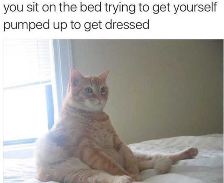 30 Funniest Memes of All Time – Daily Funny Quotes