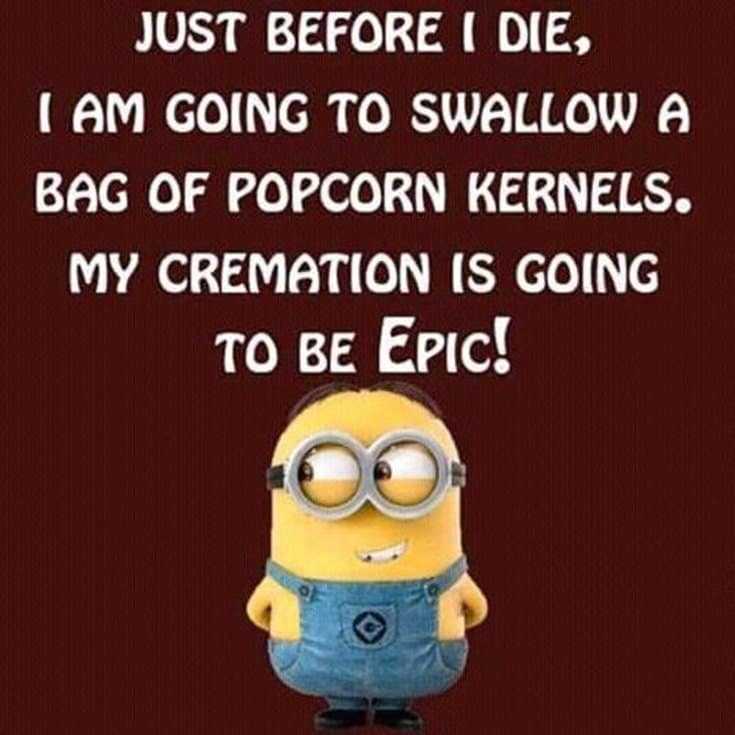 50 Funny Minions Quotes and Sayings 14