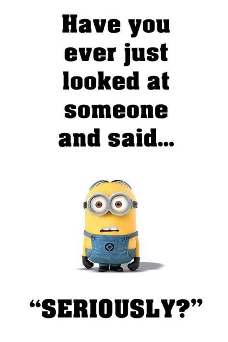 50 Funny Minions Quotes and Sayings 33