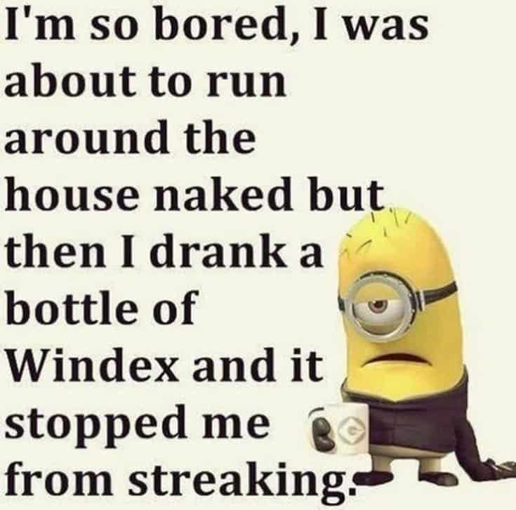 50 Funny Minions Quotes and Sayings 38