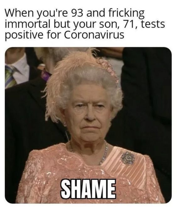 best dog memes of all time best dog memes of all time