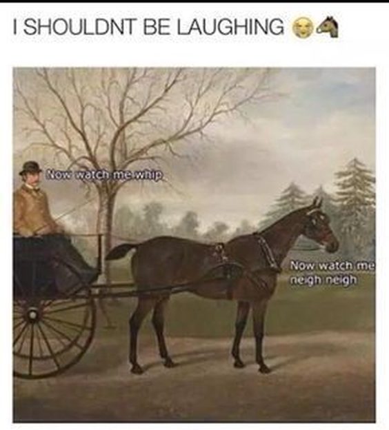 best pun memes of all time best pun memes of all time