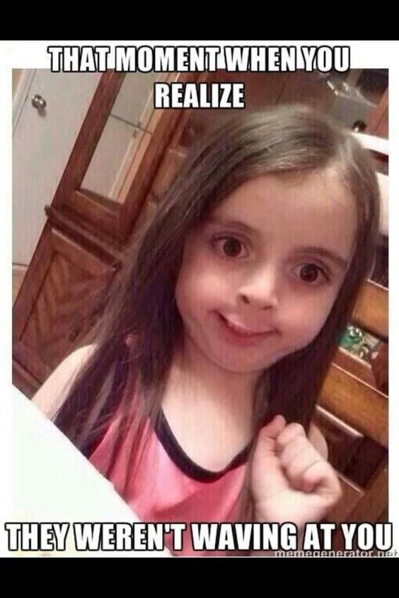 funniest animal memes of all time funniest animal memes of all time