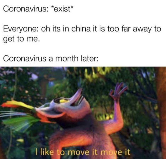 funniest cat memes of all time funniest cat memes of all time