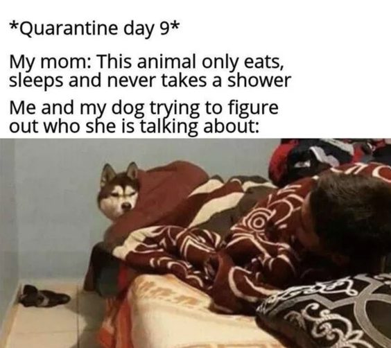 funniest memes of all time funniest memes of all time