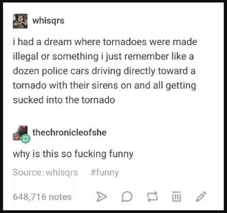 100 Funny Quotes And Sayings Short funny Words 037 100 Funny Quotes And Sayings Short funny Words 037