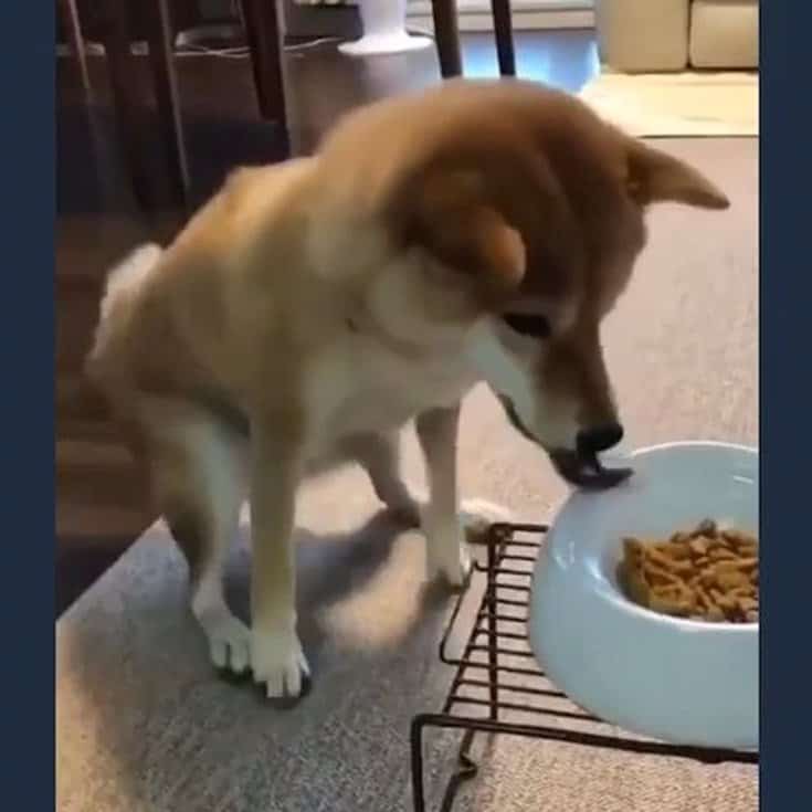 100 Funny Quotes And Sayings Short funny Words 040 100 Funny Quotes And Sayings Short funny Words 040