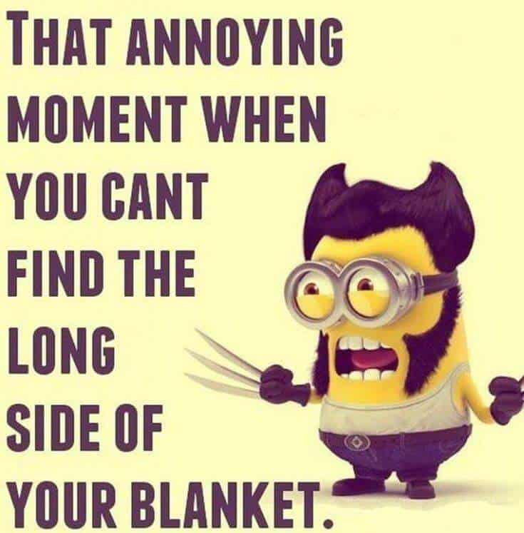 Top 37 Hilarious Minions Quotes – Life Quotes Humor 15