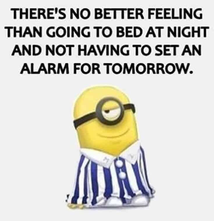 Top 37 Hilarious Minions Quotes – Life Quotes Humor 17