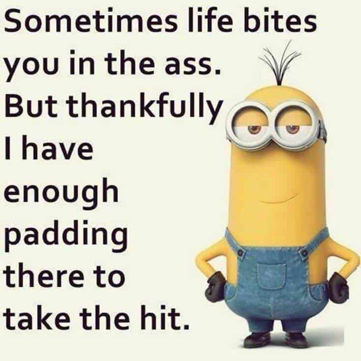 Top 37 Hilarious Minions Quotes – Life Quotes Humor 22