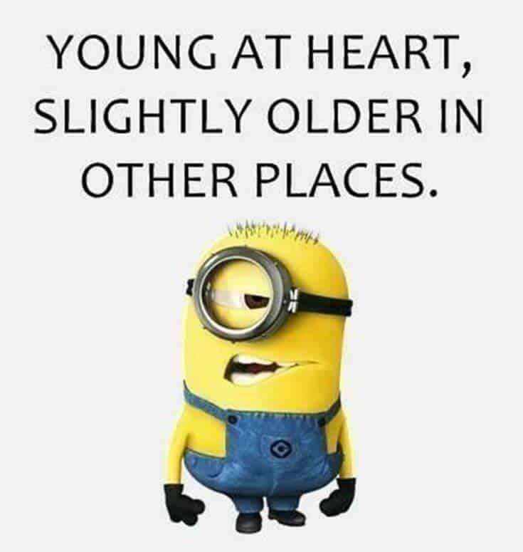 Top 37 Hilarious Minions Quotes – Life Quotes Humor 6