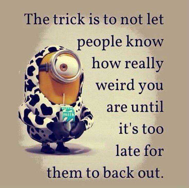 Top 37 Hilarious Minions Quotes – Life Quotes Humor 7