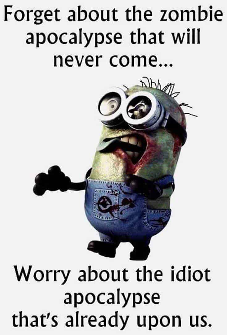 Top 37 Hilarious Minions Quotes – Life Quotes Humor 9