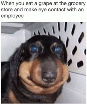 hilarious memes about life hilarious memes about life