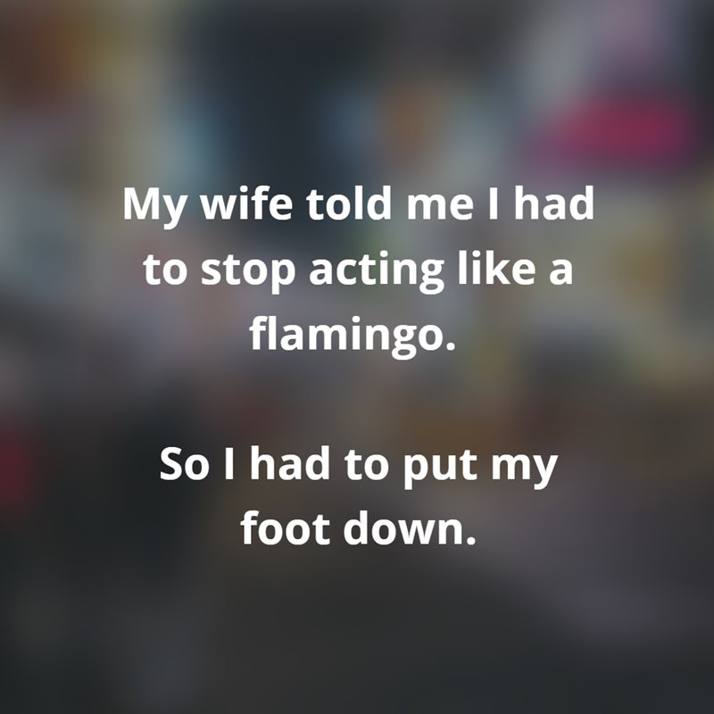 50 Short Funny Jokes Anyone Can Remember – DailyFunnyQuote