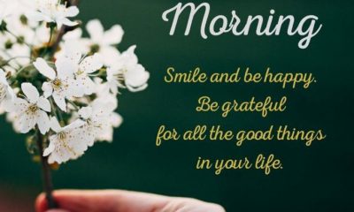 56 Good Morning Quotes and Wishes with Beautiful Images